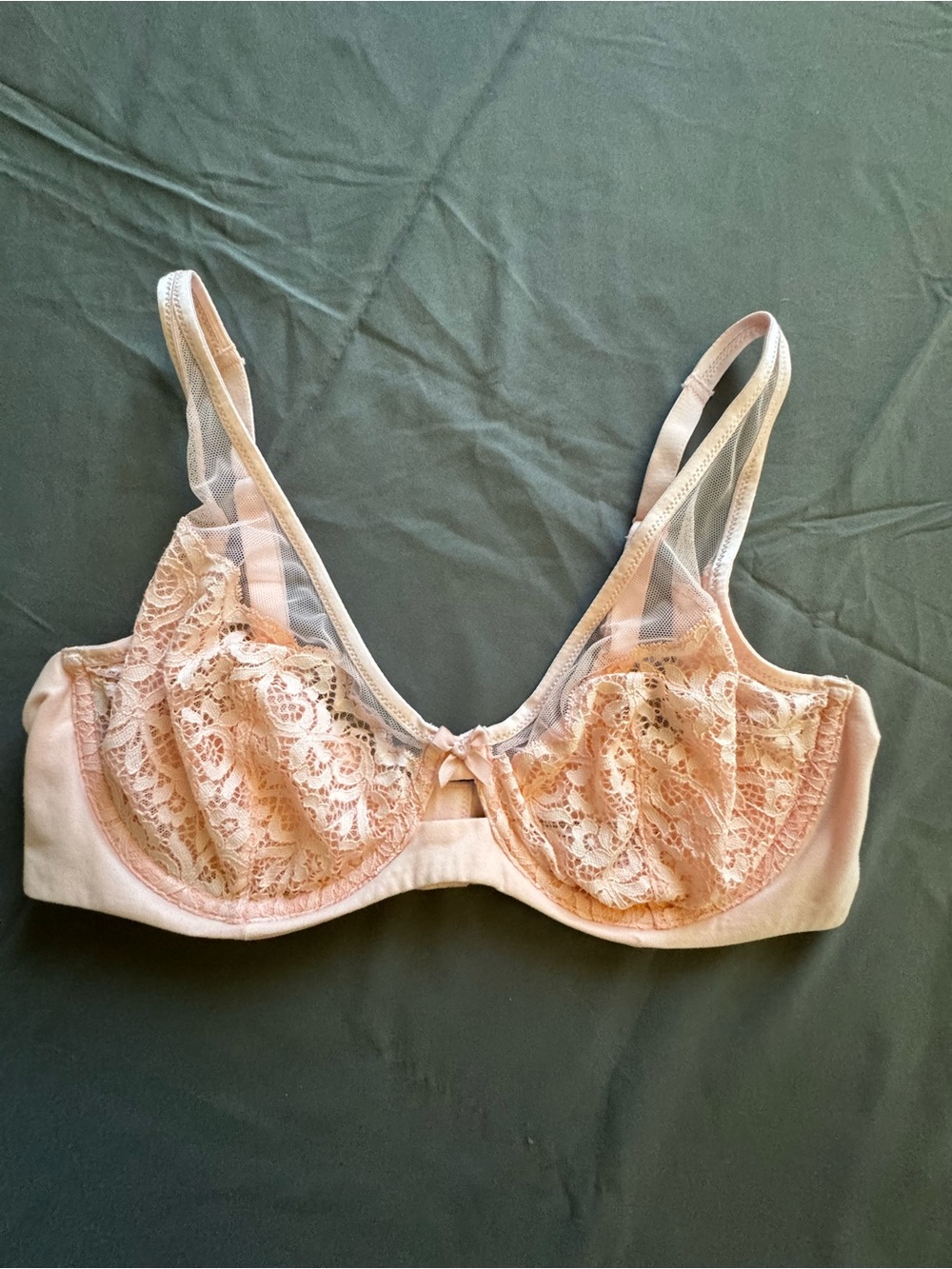Victoria's Secret Body by Victoria Demi Cup Lace Blush Rose